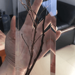 6 Gallon (22.8 L) | 4'' Deep Pour, Casting & Art | Clear Epoxy Resin Kit | Free Shipping - Magic Resin USA